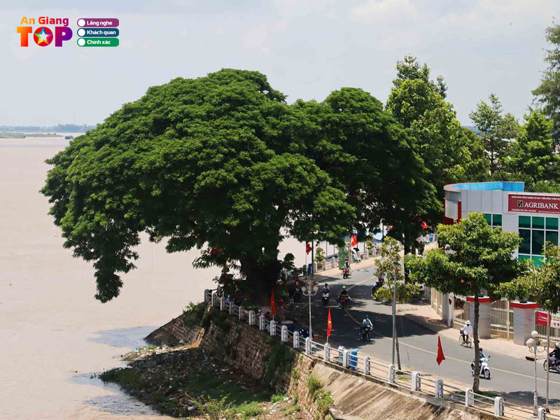 Cong-vien-bo-ke-tan-chau-angiangtoplist