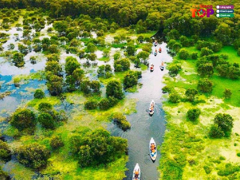 doi-net-ve-rung-tram-tra-su-an-giang-angiangtoplist