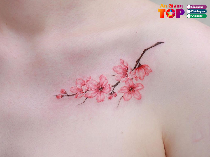 Huong-dan-lua-chon-va-meo-trai-nghiem-xam-hinh-tu-dan-ban-dia-angiangtoplist
