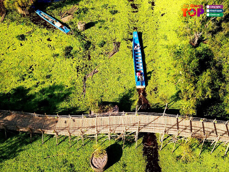 nhung-dia-diem-nen-check-in-tai-rung-tram-tra-su-an-giang-1-angiangtoplist