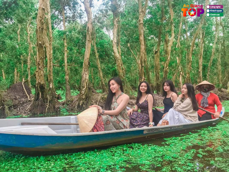 rung-tram-tra-su-an-giang-dep-nhat-luc-nao-angiangtoplist