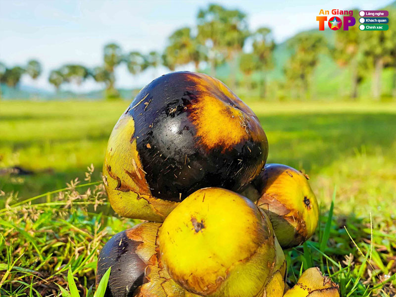 Tong-hop-nhung-cau-ca-dao-tuc-ngu-hay-nhat-ve-an-giang-1-angiangtoplist