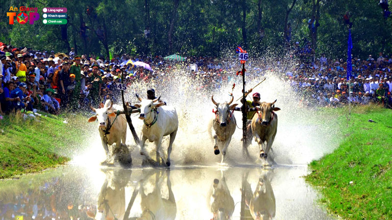 Top-5-di-san-van-hoa-phi-vat-the-an-giang-da-duoc-cong-nhan-angiangtoplist