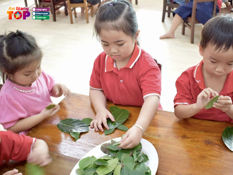 truong-mam-non-cat-tuong-angiangtoplist