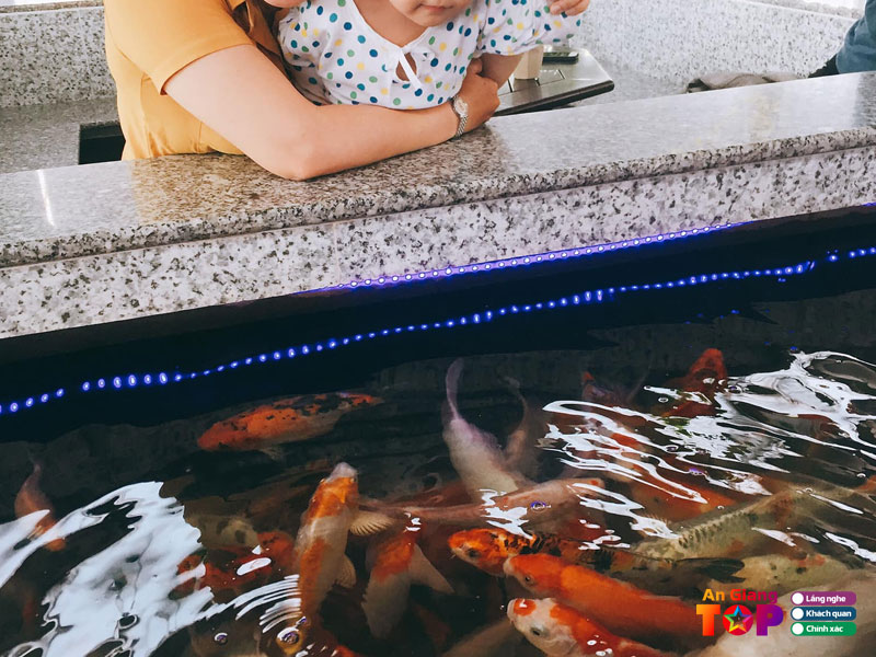 Cafe-ca-koi-long-xuyen-angiangtoplist