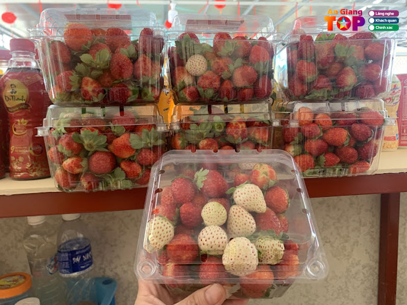 Dau-sach-an-giang-angiangtoplist