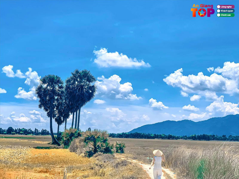 Hang-thot-not-trai-tim-angiangtoplist