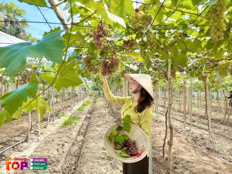 Quan-vuon-nho-o-thum-angiangtoplist