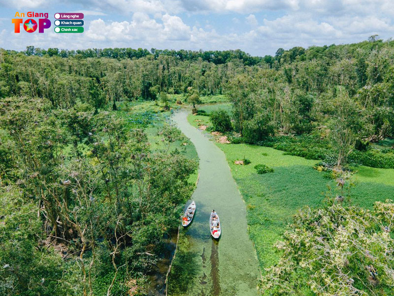 Rung-tram-tra-su-angiangtoplist