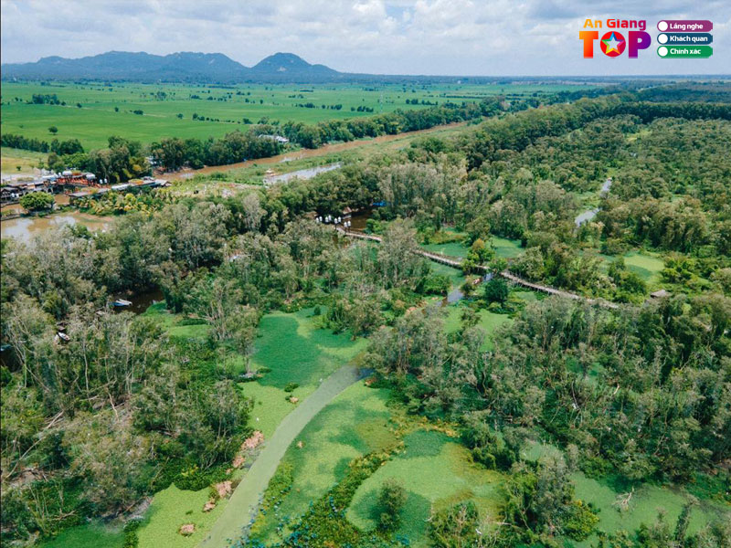 Rung-tram-tra-su-angiangtoplist