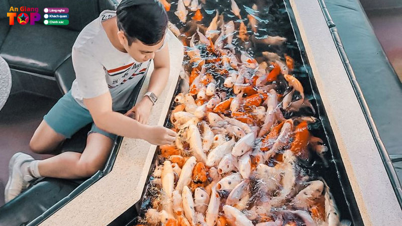 Top-6-quan-cafe-ca-koi-an-giang-vua-dep-vua-chill-thoa-thich-angiangtoplist