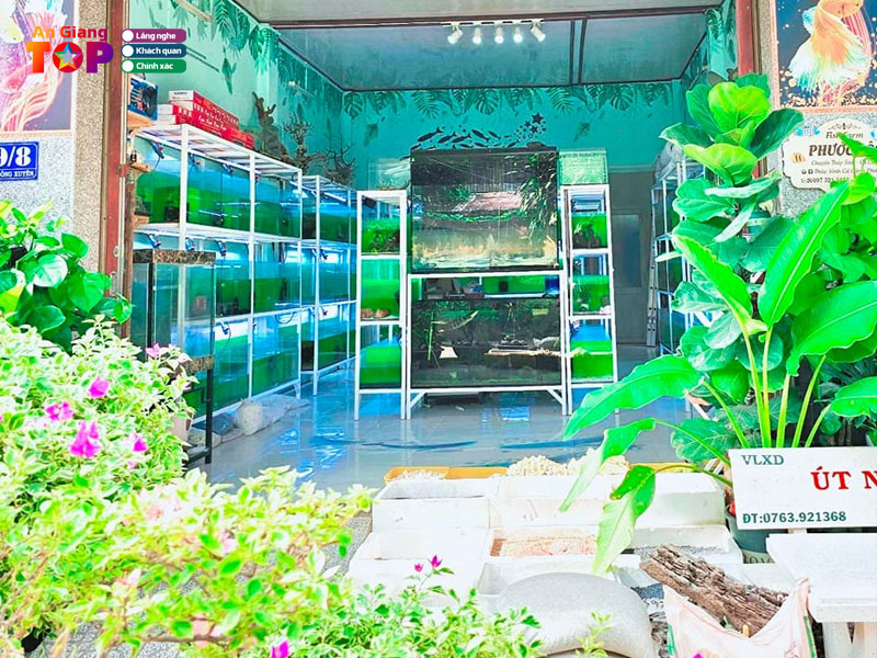 Trai-ca-canh-thuy-sinh-phuoc-loc-angiangtoplist