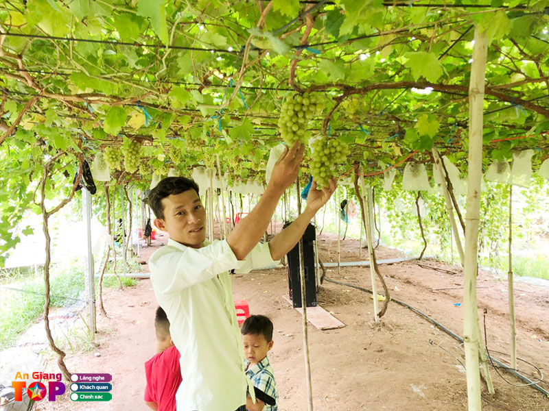 Vuon-nho-nguyen-tuong-angiangtoplist