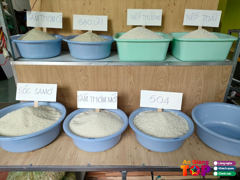 Dai-ly-gao-9-tro-1-angiangtoplist