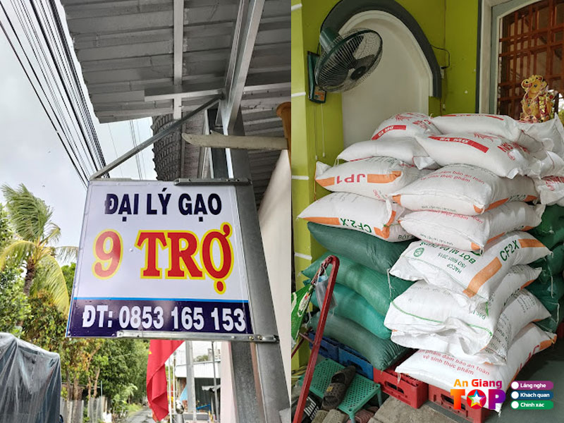 Dai-ly-gao-9-tro-angiangtoplist