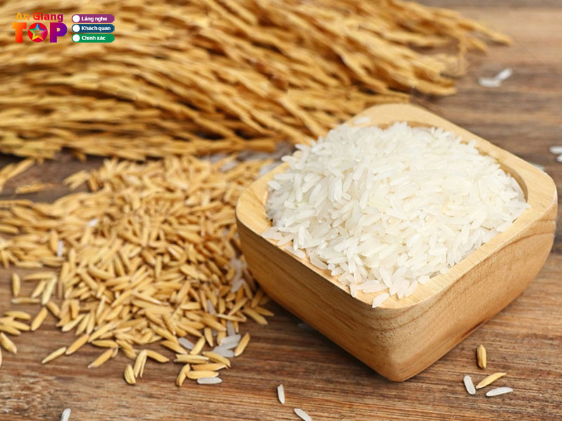 Dai-ly-gao-an-giang-angiangtoplist