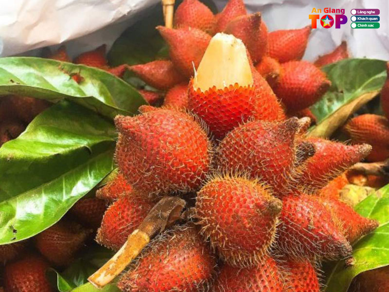 May-thai-an-giang-angiangtoplist