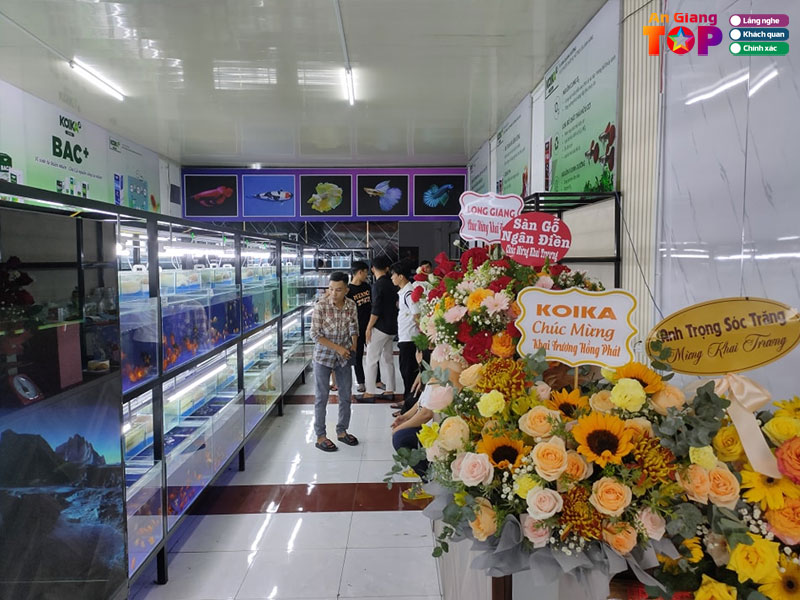Sieu-thi-ca-canh-long-xuyen-nguyen-fish-angiangtoplist