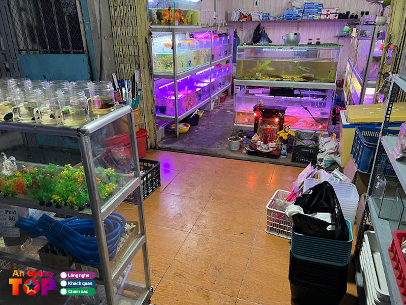 Trai-ca-canh-minh-duy-angiangtoplist