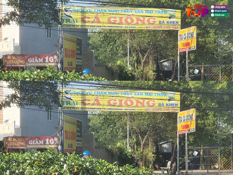 Trai-ca-giong-ba-khen-angiangtoplist