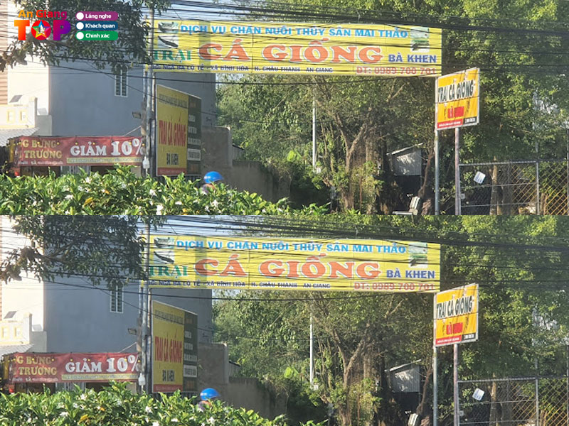 Trai-ca-giong-ba-khen-angiangtoplist