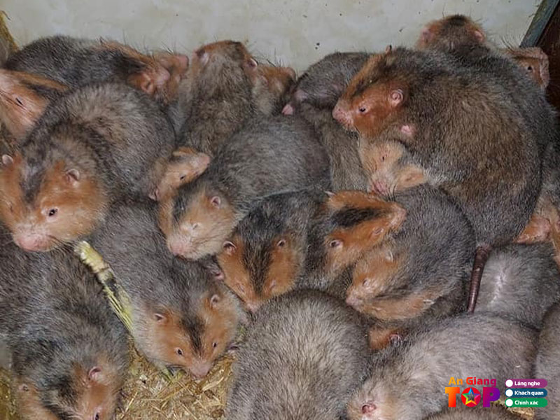 Trai-dui-tinh-bien-an-giang-angiangtoplist