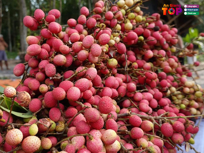 Trai-truong-angiangtoplist