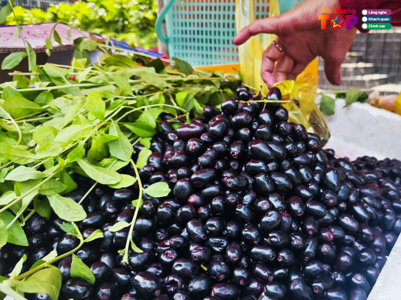 Tram-rung-angiangtoplist