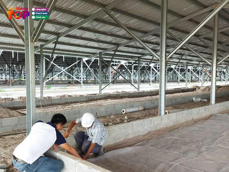 Tratrasavn-trai-trun-que-an-giang-angiangtoplist