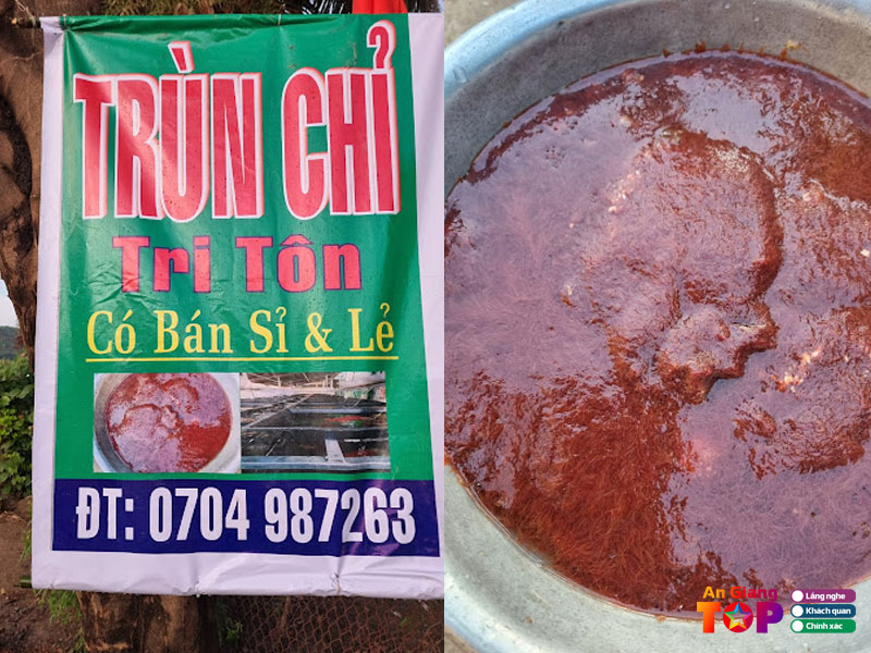 Trun-chi-tri-ton-angiangtoplist