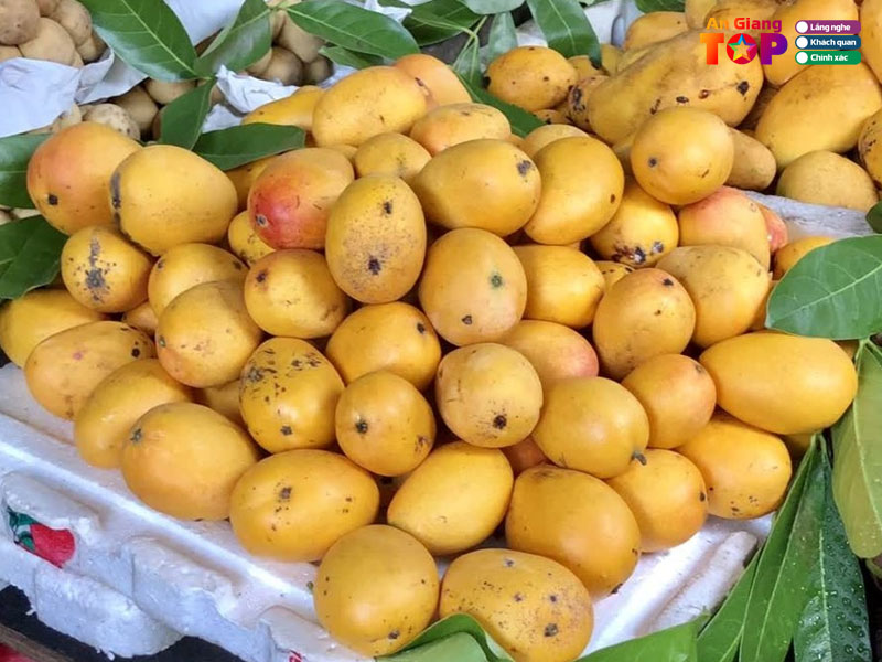 Xoai-thanh-ca-xoai-mut-angiangtoplist