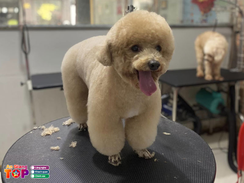 Cun-con-spa-angiangtoplist