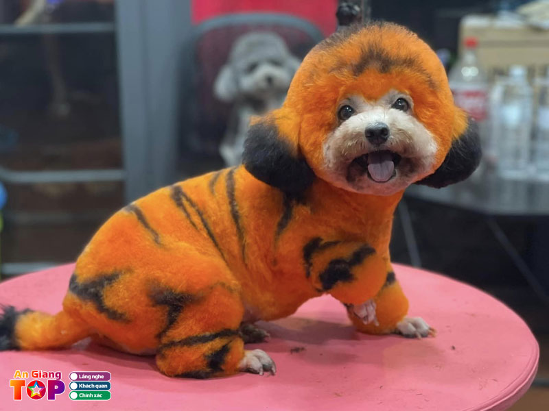 Krixi-spa-angiangtoplist