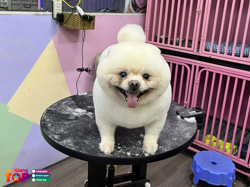 Phong-kham-thu-y-dara-angiangtoplist