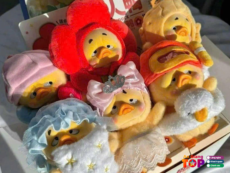 Shop-tho-dia-chi-mua-thu-nhoi-bong-o-an-giang-uy-tin-angiangtoplist