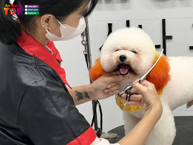 Syna-pets-angiangtoplist