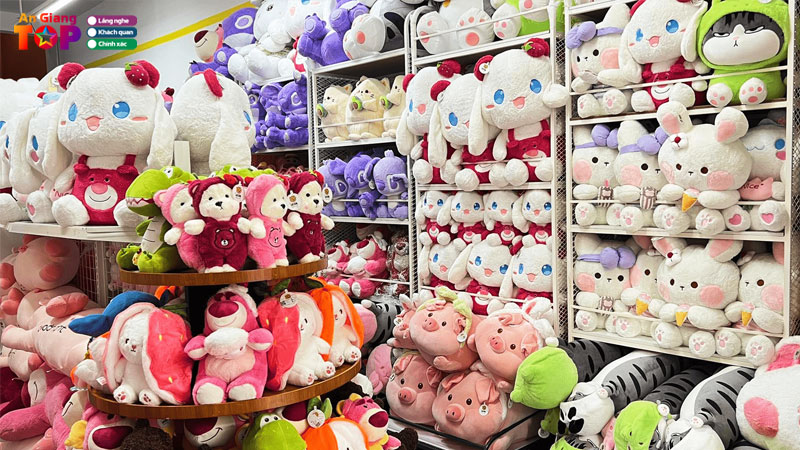 Top-10-dia-chi-mua-thu-nhoi-bong-o-an-giang-de-thuong-gia-re-angiangtoplist