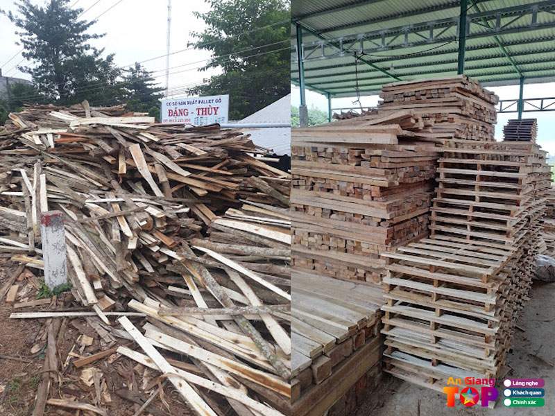Trai-go-thuy-dang-dia-chi-ban-pallet-go-tai-an-giang-chat-luong-angiangtoplist
