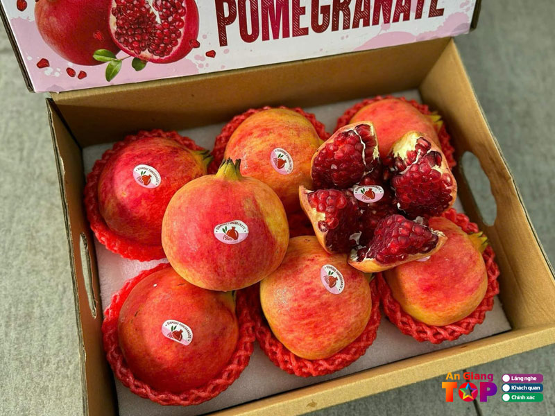 Cheese-fruit-angiangtoplist