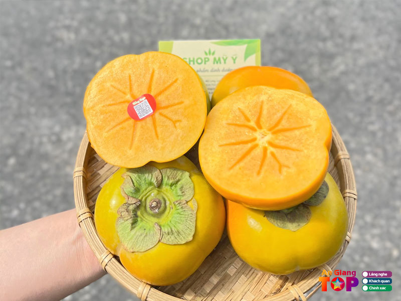 Shop-my-y-angiangtoplist