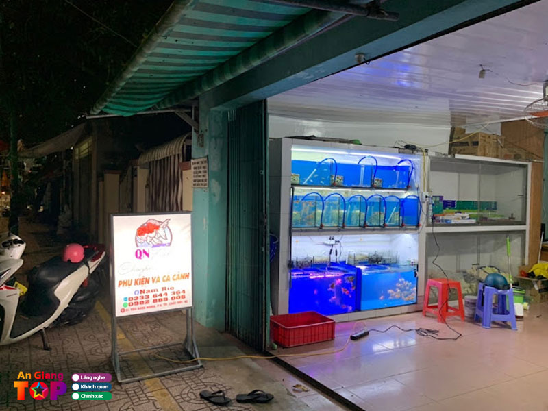 Ca-canh-qn-fish-angiangtoplist