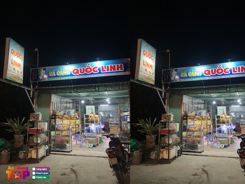 Ca-canh-quoc-linh-dia-chi-ban-be-ca-o-an-giang-uy-tin-angiangtoplist