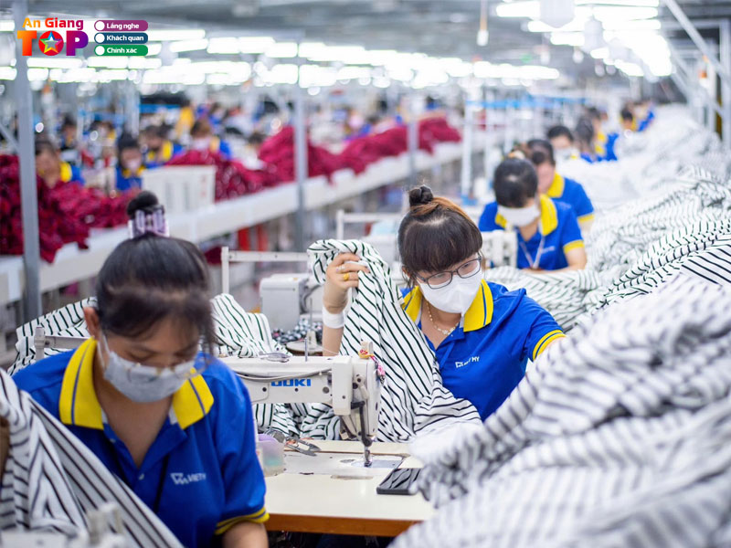 Cong-ty-cp-may-viet-my-angiangtoplist