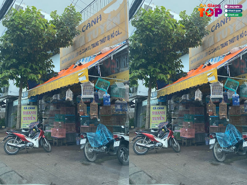 Cua-hang-ca-canh-thanh-tuyen-angiangtoplist