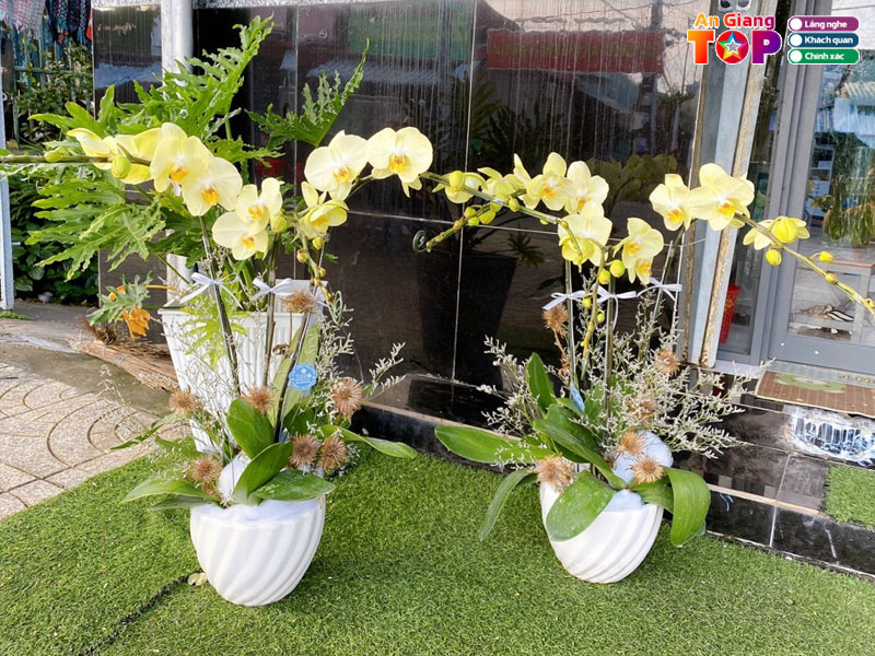 Dien-hoa-xuan-hoa-angiangtoplist