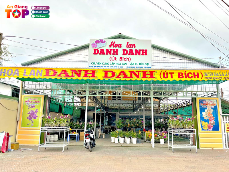 Hoa-lan-danh-danh-angiangtoplist