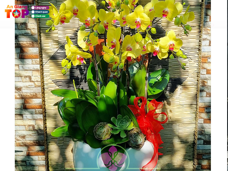 Lan-ho-diep-bao-ngoc-angiangtoplist