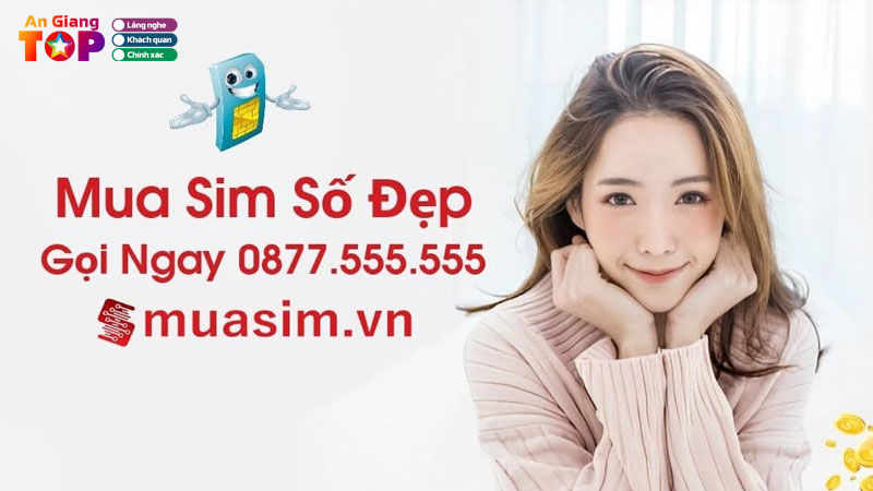 Tai-sao-nen-dinh-gia-sim-tieu-chi-dinh-gia-sim-chuan-xac-dua-tren-co-so-nao-1-angiangtoplist