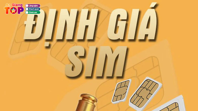 Tai-sao-nen-dinh-gia-sim-tieu-chi-dinh-gia-sim-chuan-xac-dua-tren-co-so-nao-angiangtoplist