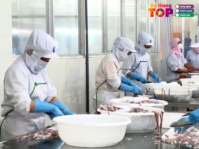 Cong-ty-co-phan-ntaco-angiangtoplist